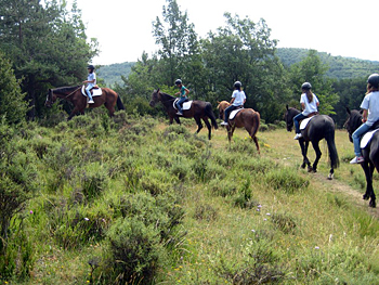 Paseos a caballo