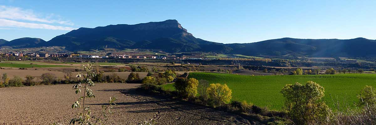 Jaca y la Peña Oroel vistas desde Guasillo