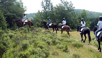 Paseos a caballo