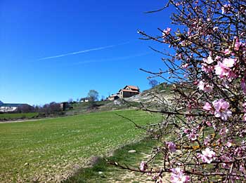 Alrededores en primavera